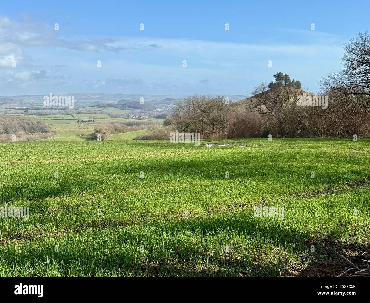 Colmer's Hill, Symondsbury, Dorset from the Junction of Quarry Cross and Hell Lane - Smartphone Captured Stock Image