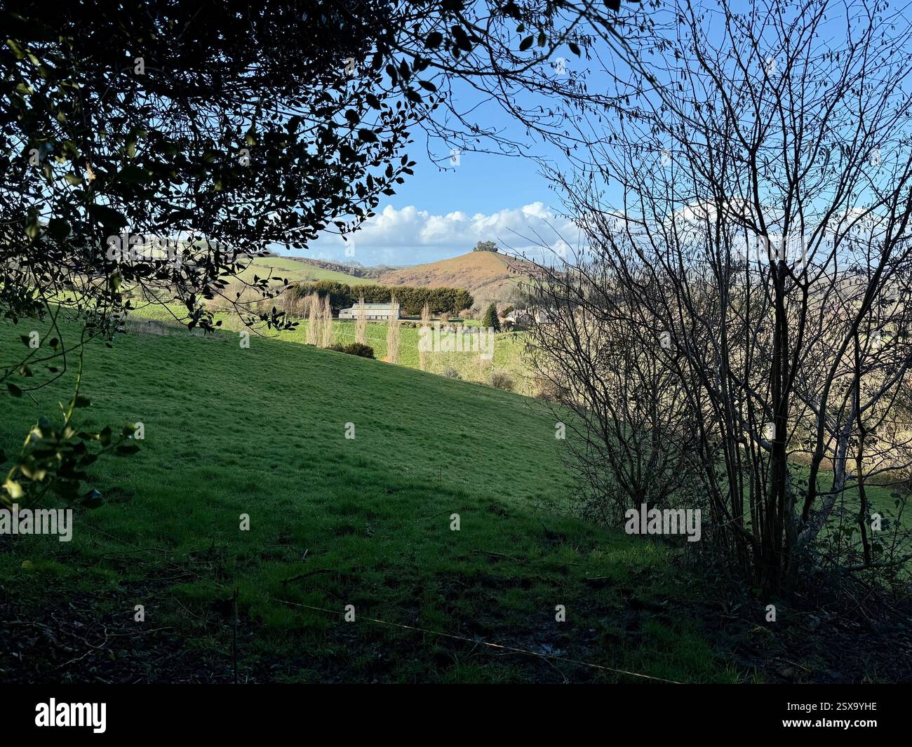 Colmer's Hill, Symondsbury, Dorset from Eype Down - Smartphone Captured Stock Image