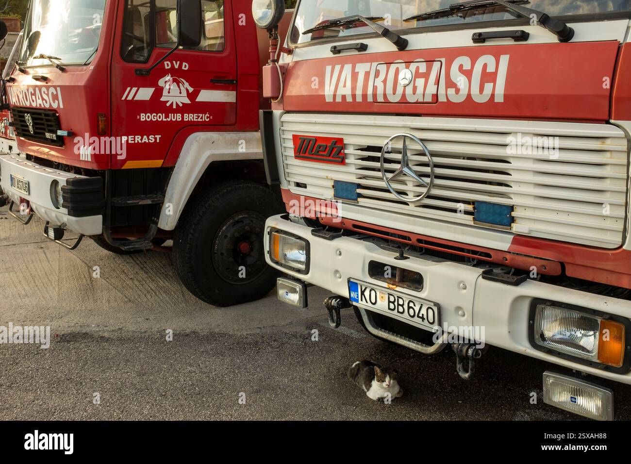 Cat fire engine hi-res stock photography and images - Alamy