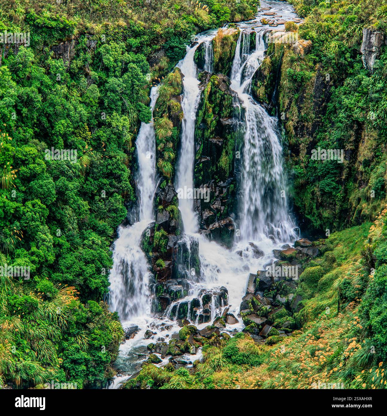 Waterfall, New Zealand Stock Photo - Alamy