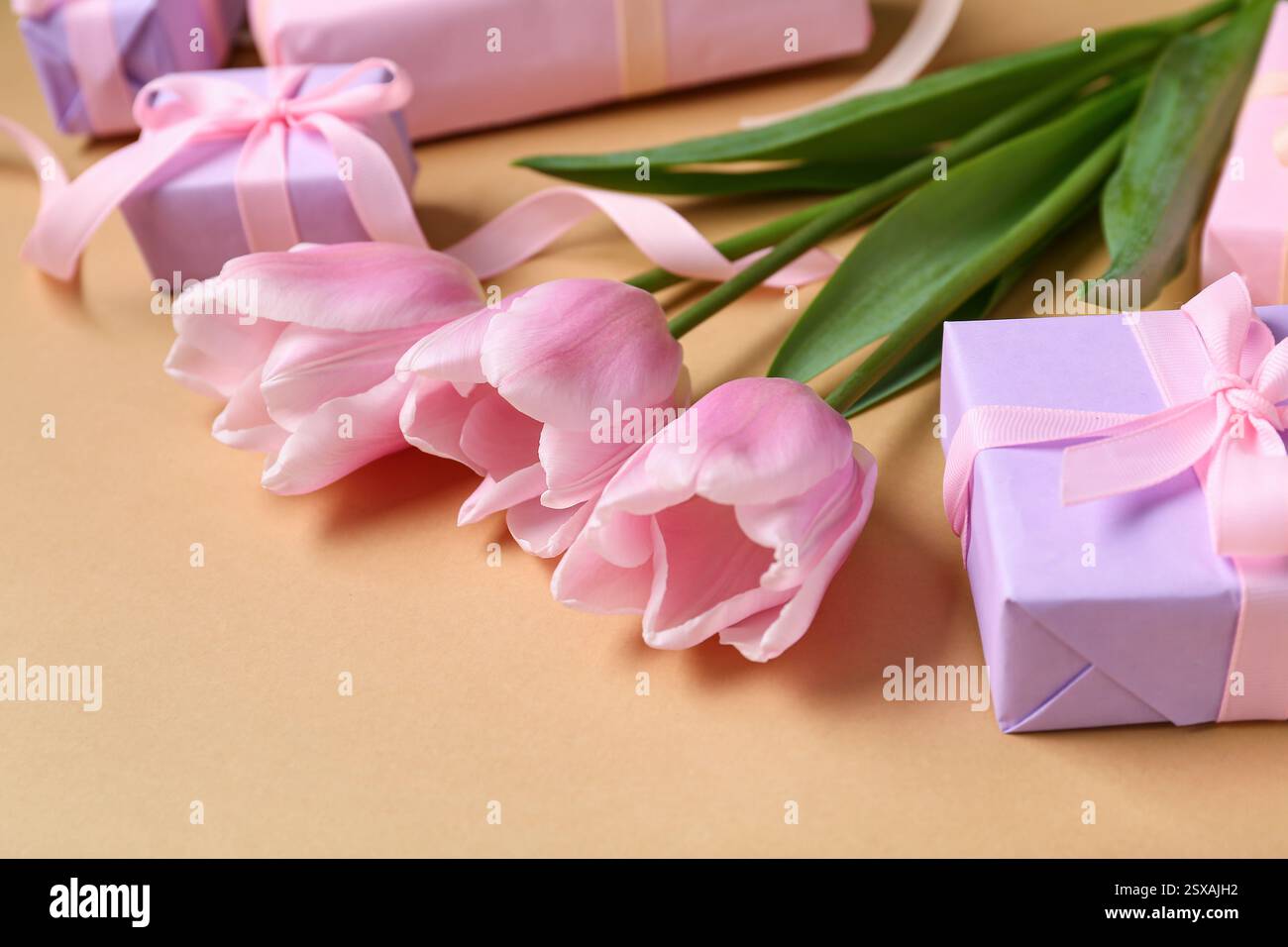 Gift boxes and pink tulips on beige background Stock Photo