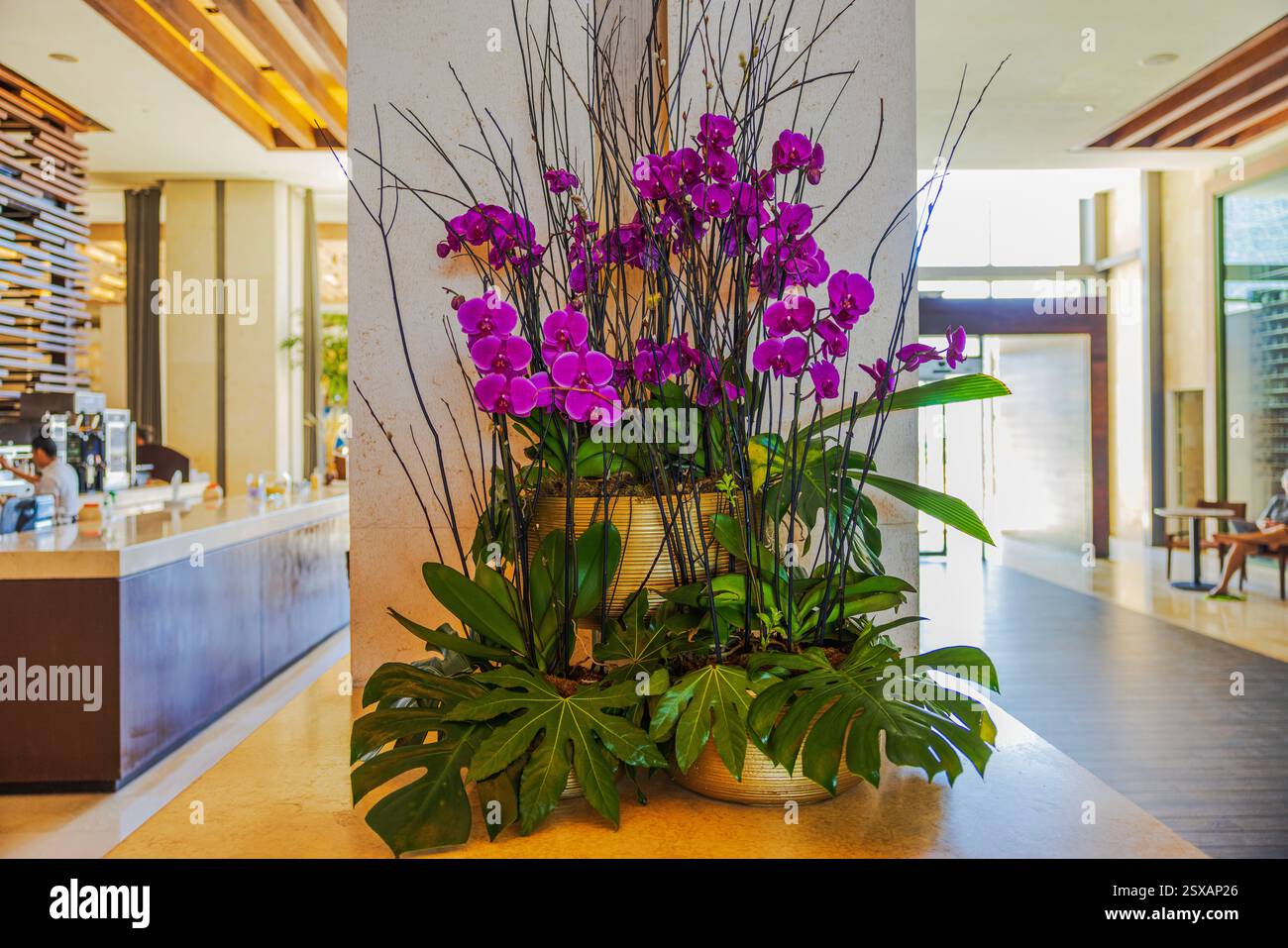 Elegant floral arrangement with purple orchids and green foliage in ...