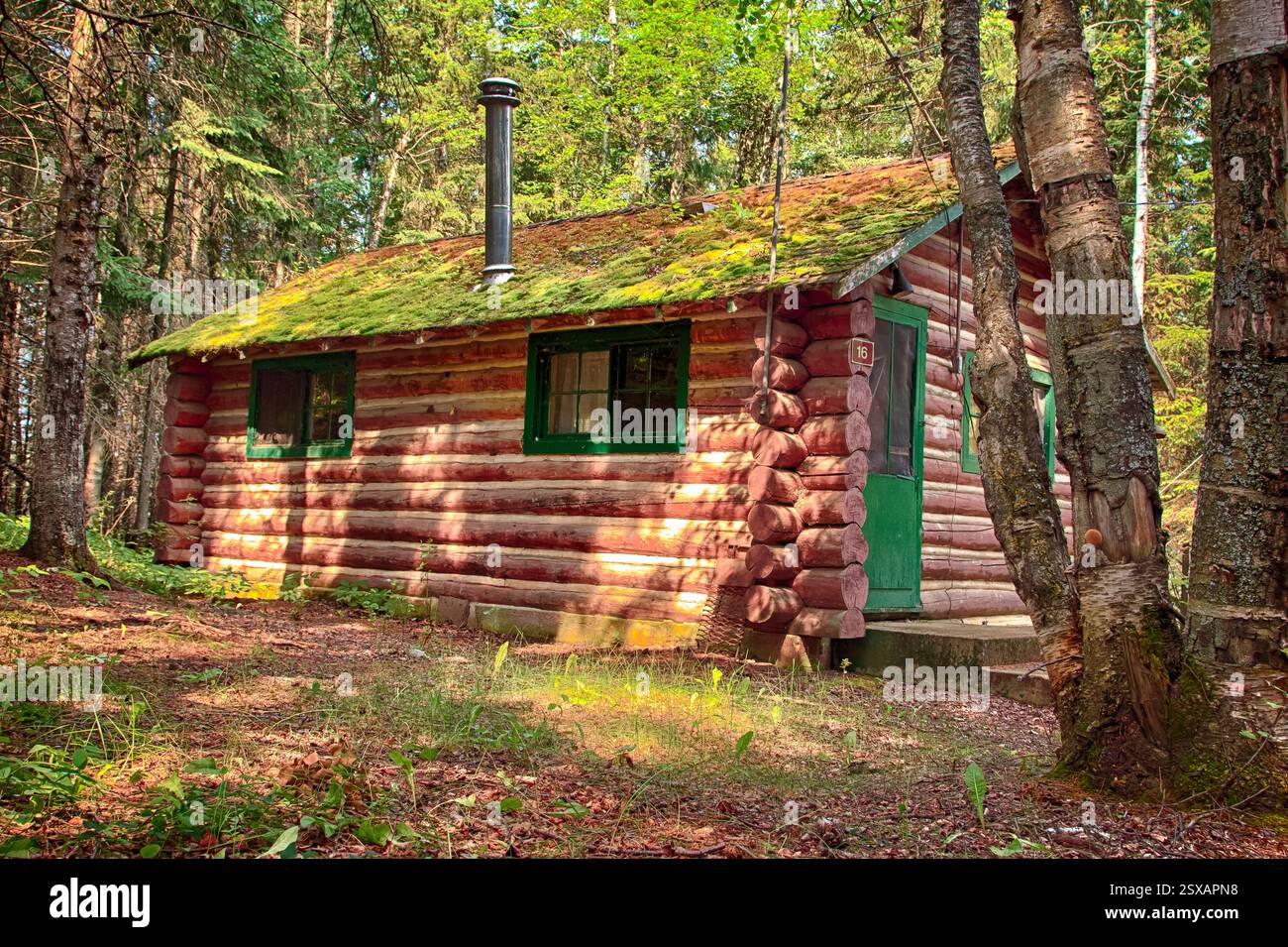 Log cabin with a green roof. The roof is covered in moss. The cabin has a  green door Stock Photo - Alamy, image size:1300x955