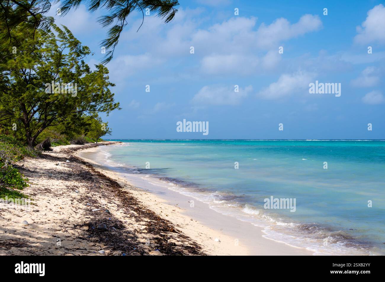 Barkers cayman islands hi-res stock photography and images - Alamy