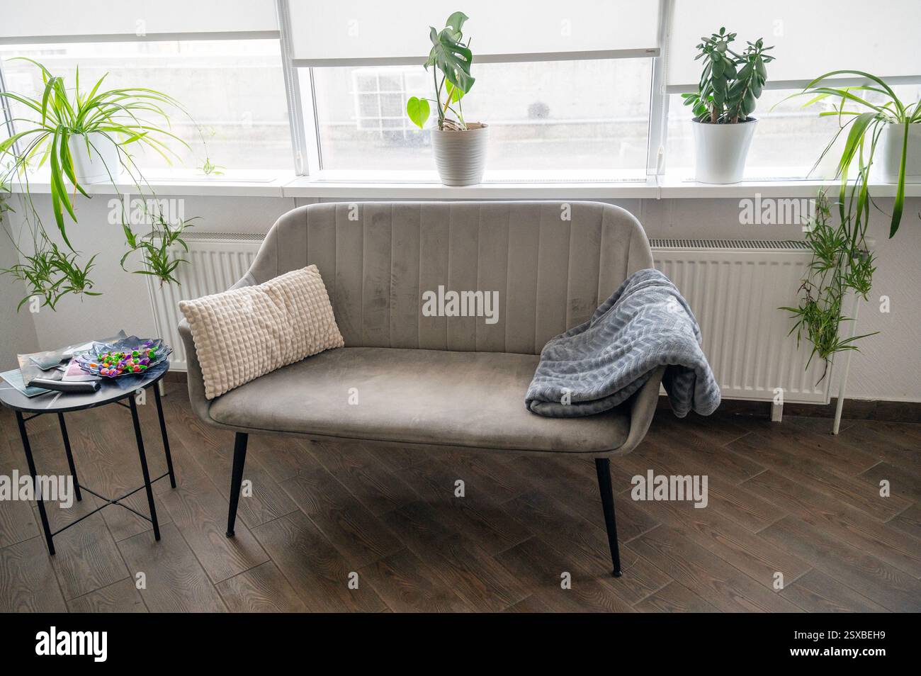 In the living room, near a large window, there is a gray sofa. Stock Photo