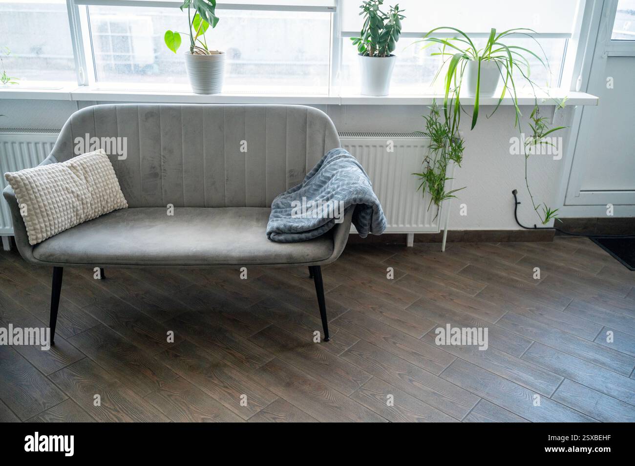 In the living room, near a large window, there is a gray sofa. Stock Photo