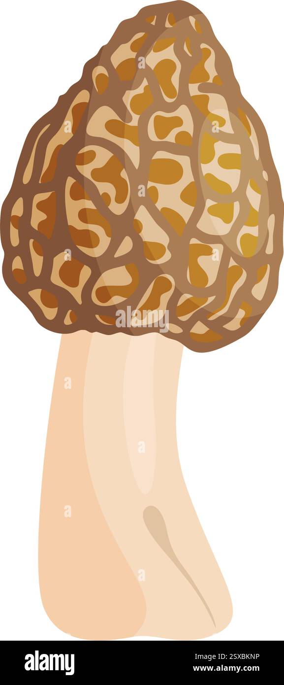 Morel mushroom. Edible forest mushroom icon. Hand drawn trendy flat ...