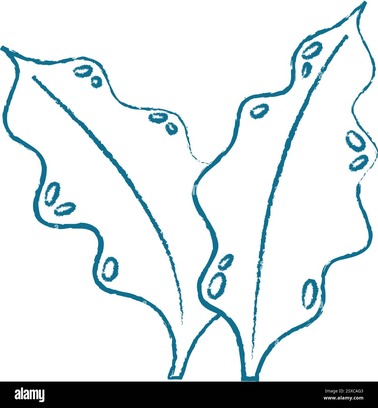 Underwater Seaweed Doodle Crayon Style Stock Vector Image & Art - Alamy