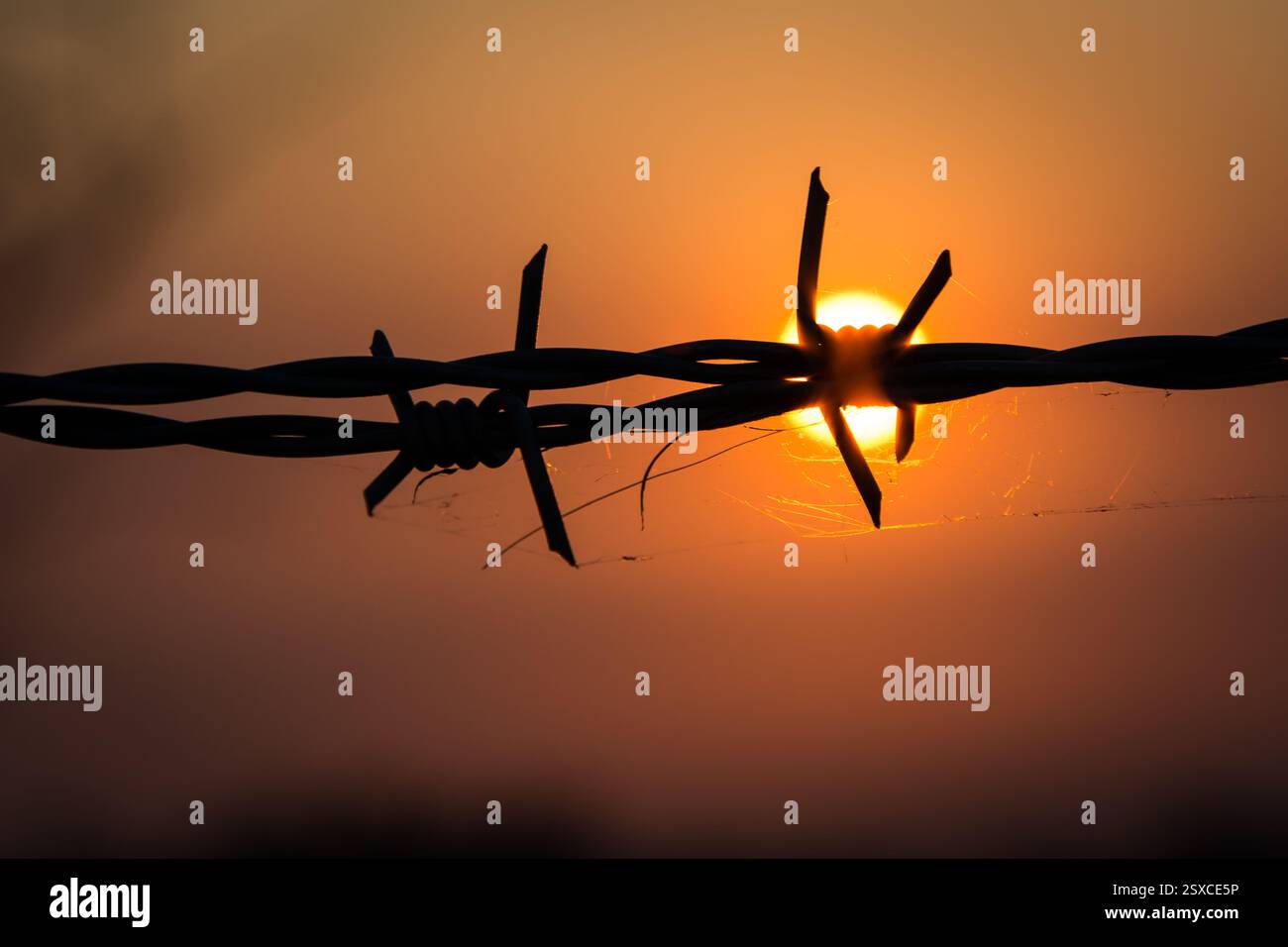 Silhouette of the barbed wire hi-res stock photography and images - Alamy
