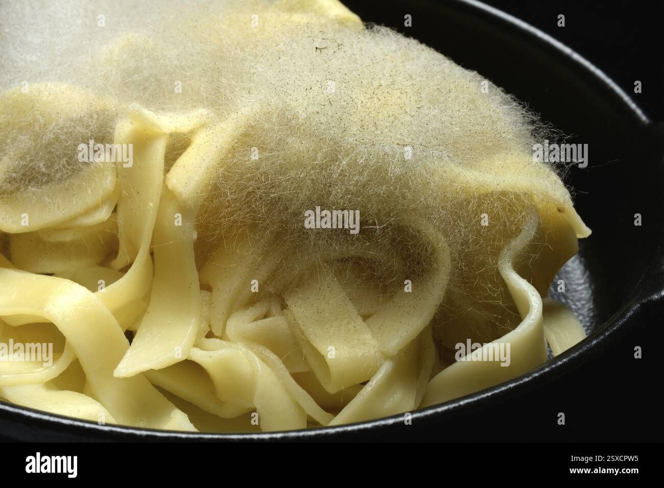 Mould on pasta, mould on food Stock Photo - Alamy