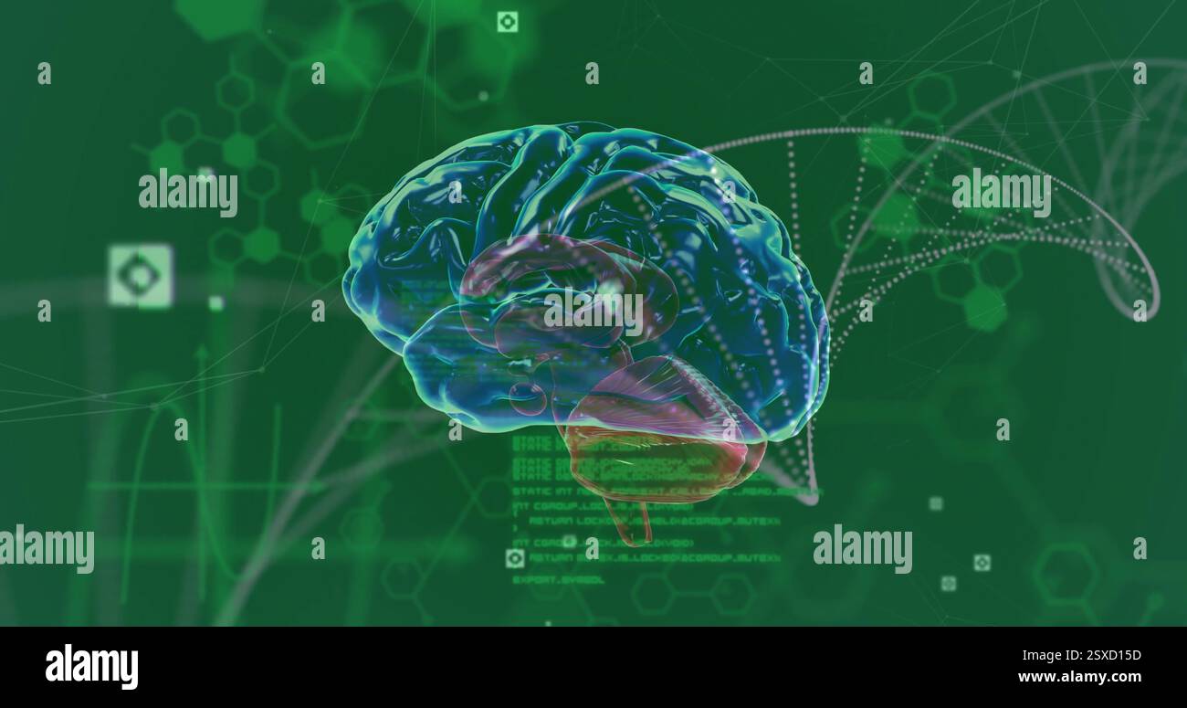 Image of rotating brain over medical data processing on green background Stock Photo