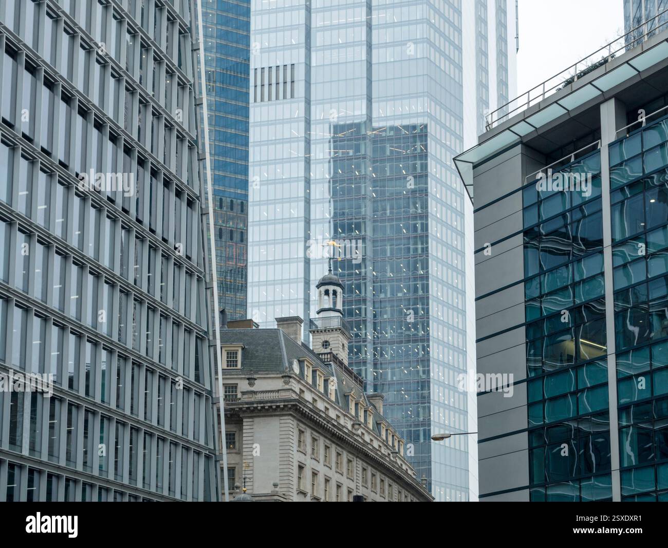 Gallery image with a fresh perspective