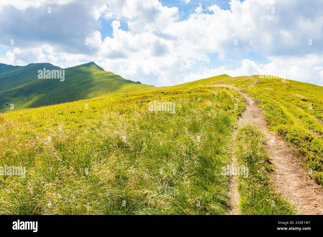 path up the steep hill. travel background with carpathian mountain landscape in summer. grassy alpine scenery of ukraine on a sunny day with clouds on Stock Photo