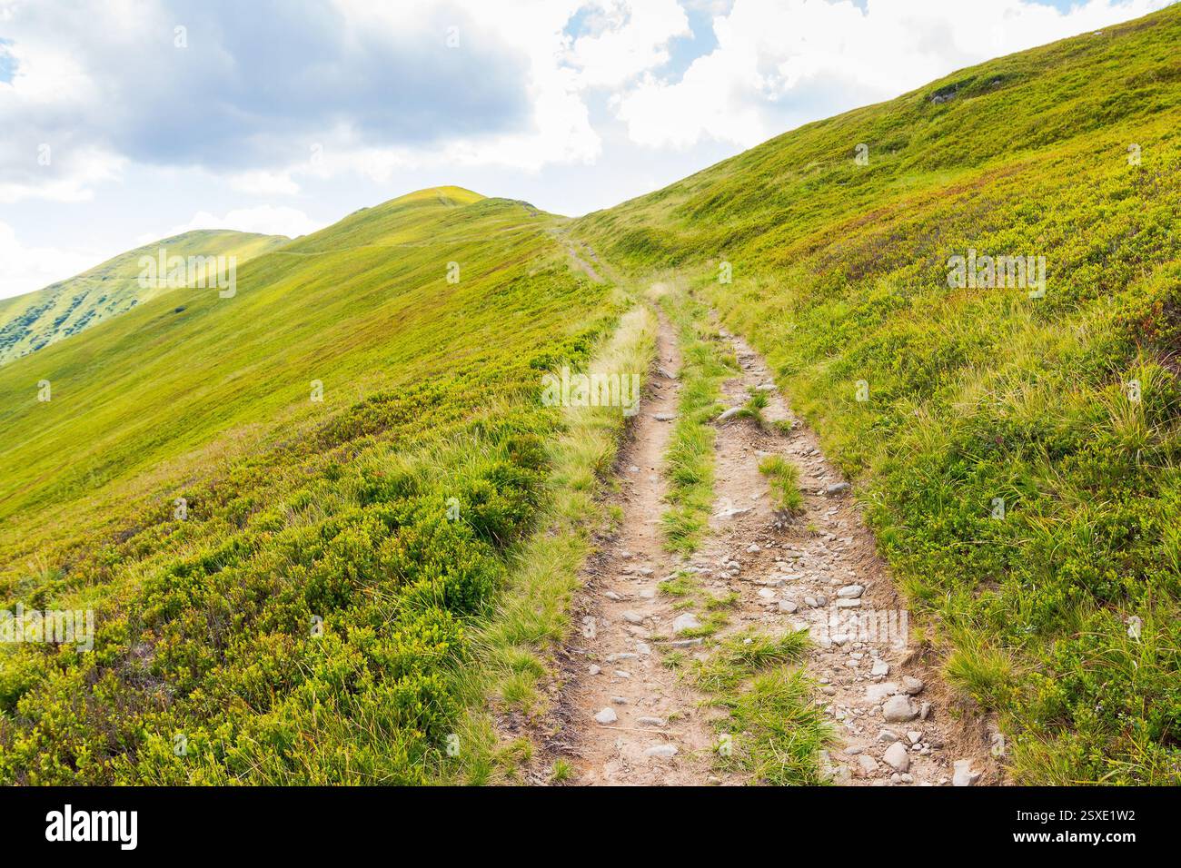 path up the steep hill. travel background with carpathian mountain landscape in summer. outdoor adventure. grassy alpine scenery of ukraine on a sunny Stock Photo