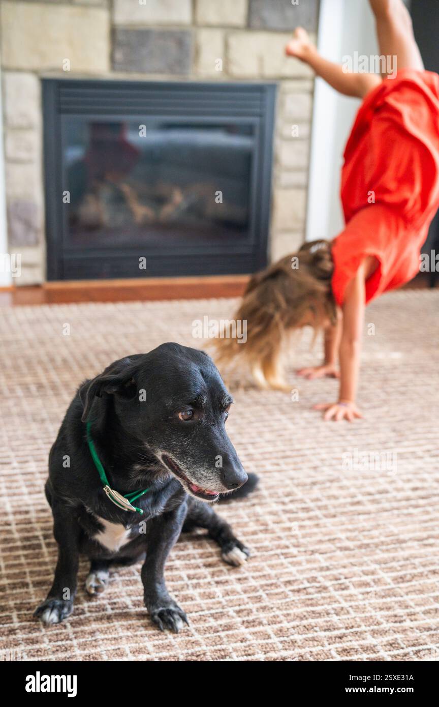 Dog Sitting on Rug while Sister does a Cartwheel Stock Photo - Alamy