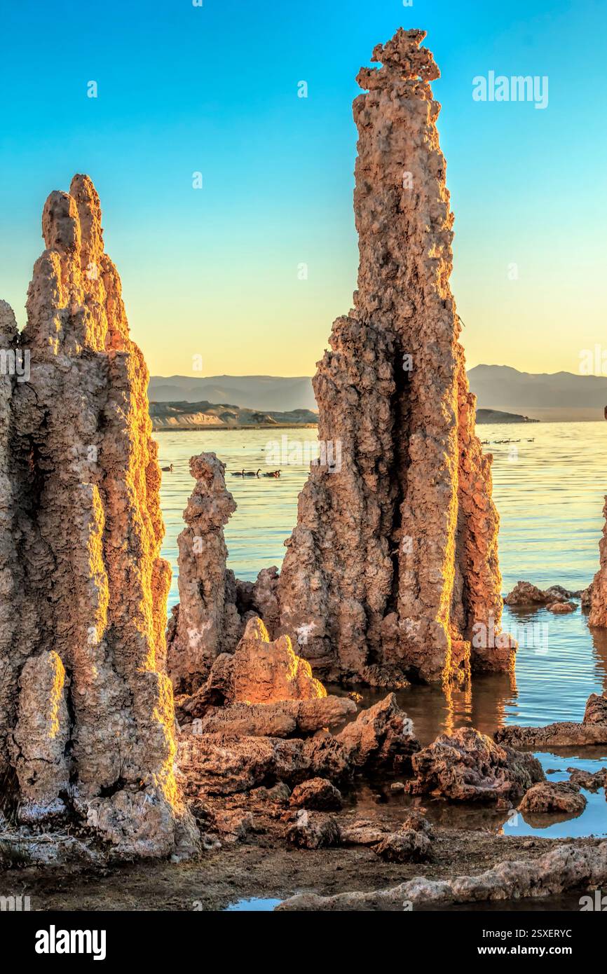 Rusty Reddis Beach Rocks Group of rocks are on the beach with the ocean in the background. The ...