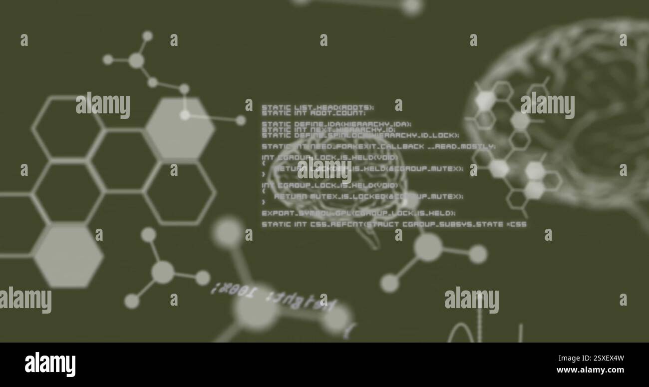 Image of scientific data processing and human brains Stock Photo