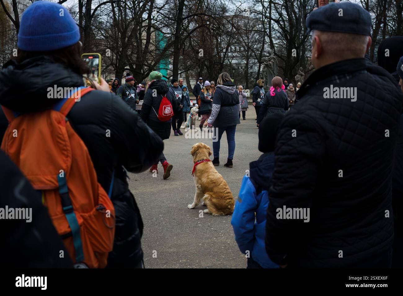 Warsaw, Poland. January 26, 2025 - People attend a dog gathering in Saxon Garden (Ogrod Saski) Stock Photo