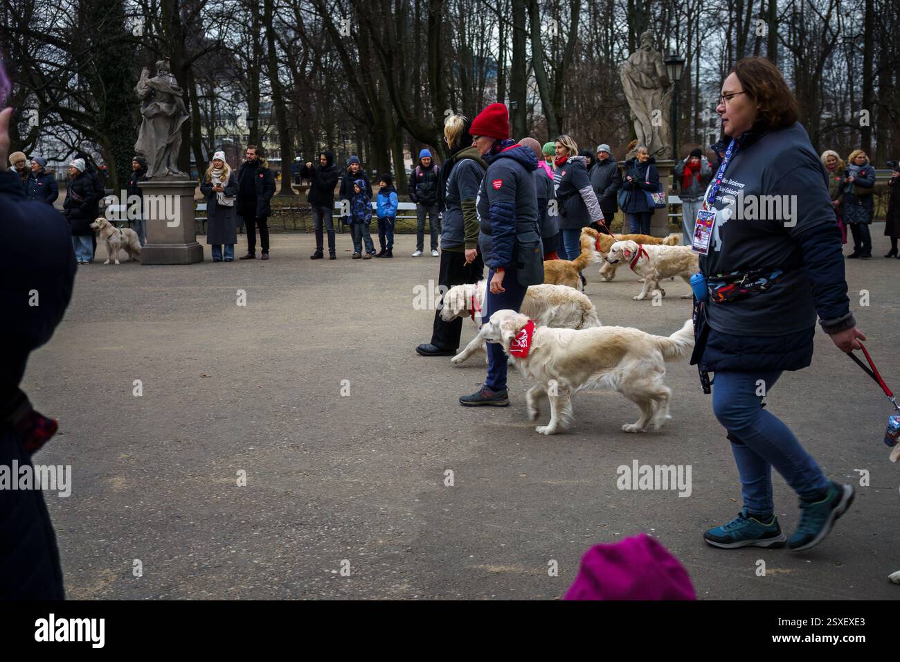 Warsaw, Poland, January 26, 2025 - Owners walking their golden retrievers at a gathering in Saxon Garden (Ogrod Saski). Stock Photo