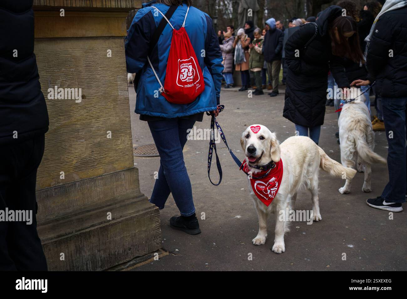 Warsaw, Poland. January 26, 2025 - Golden retrievers and dog owners gathering Saxon Garden (Ogrod Saski) Stock Photo