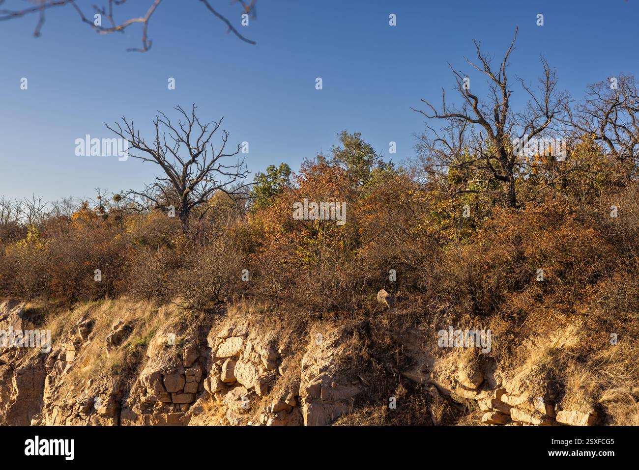 A rugged autumn landscape with dry trees and bushes atop a rocky cliff ...