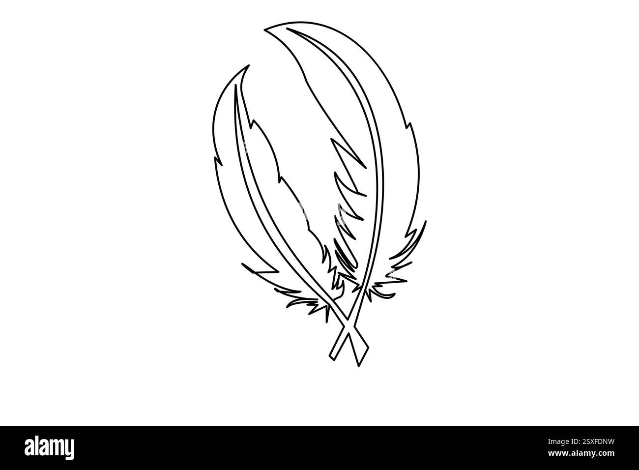 Bird feather single line art of icon hand drawn outline vector ...