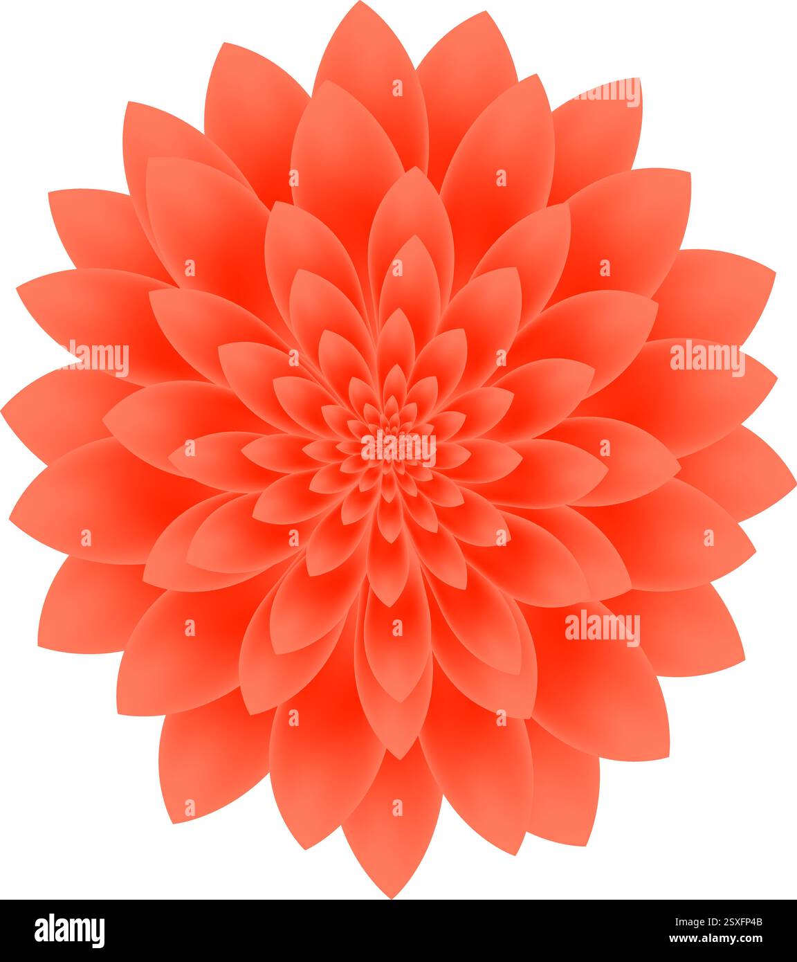 Dahlia flower isolated on white background Stock Vector Image & Art - Alamy