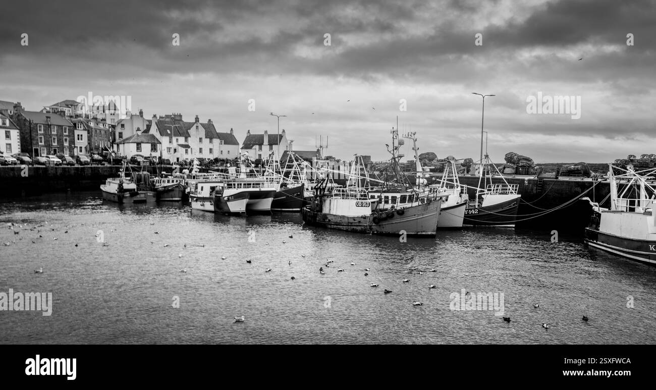 Fishing boats in the harbour at Pittenweem, Fife, Scotland Stock Photo ...