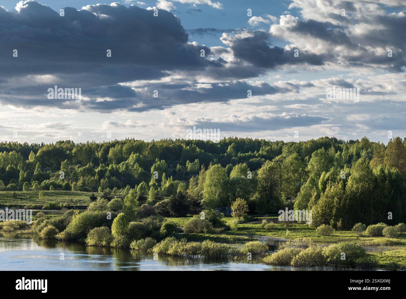 Lush green trees line a river under a dramatic cloudy sky, evoking ...