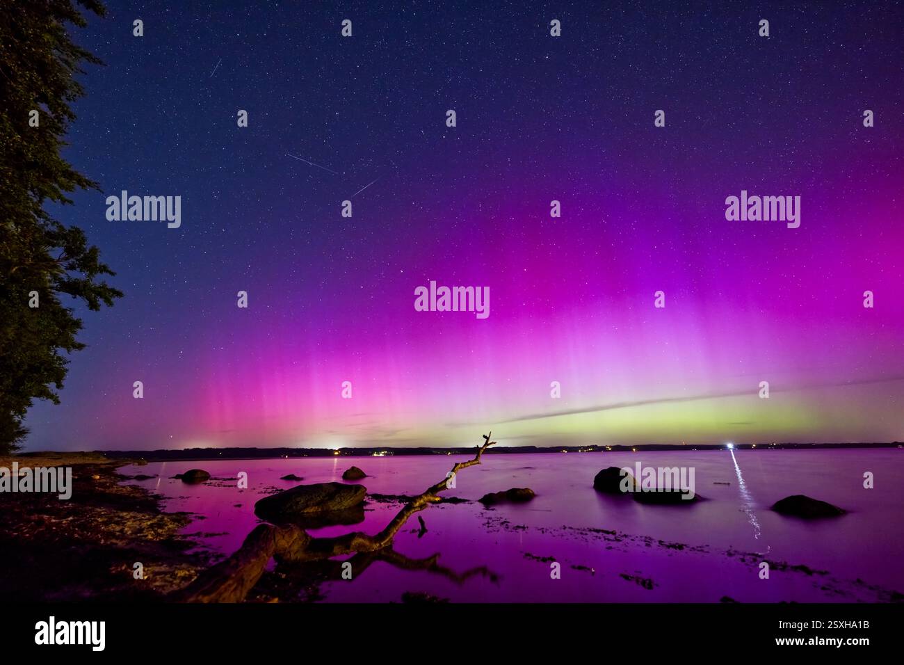 A stunning display of the Northern Lights with vibrant pink and purple ...