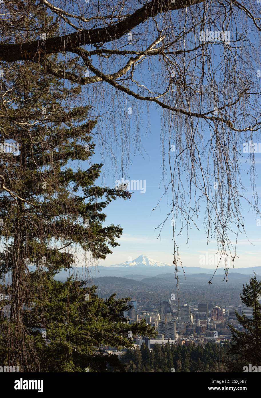 A view of Portland, Oregon with Mount Hood in the background. Stock Photo