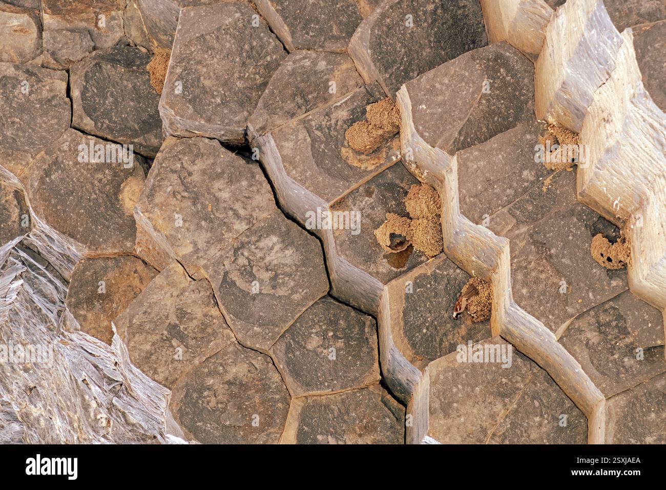Natural beige colour stone material texture pattern background Stock Photo