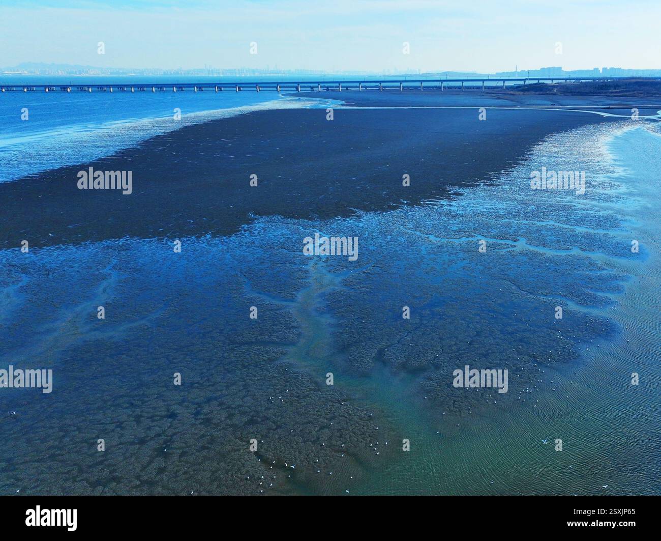 QINGDAO, CHINA - FEBRUARY 24, 2025 - Photo taken on Feb 24, 2025 shows ...