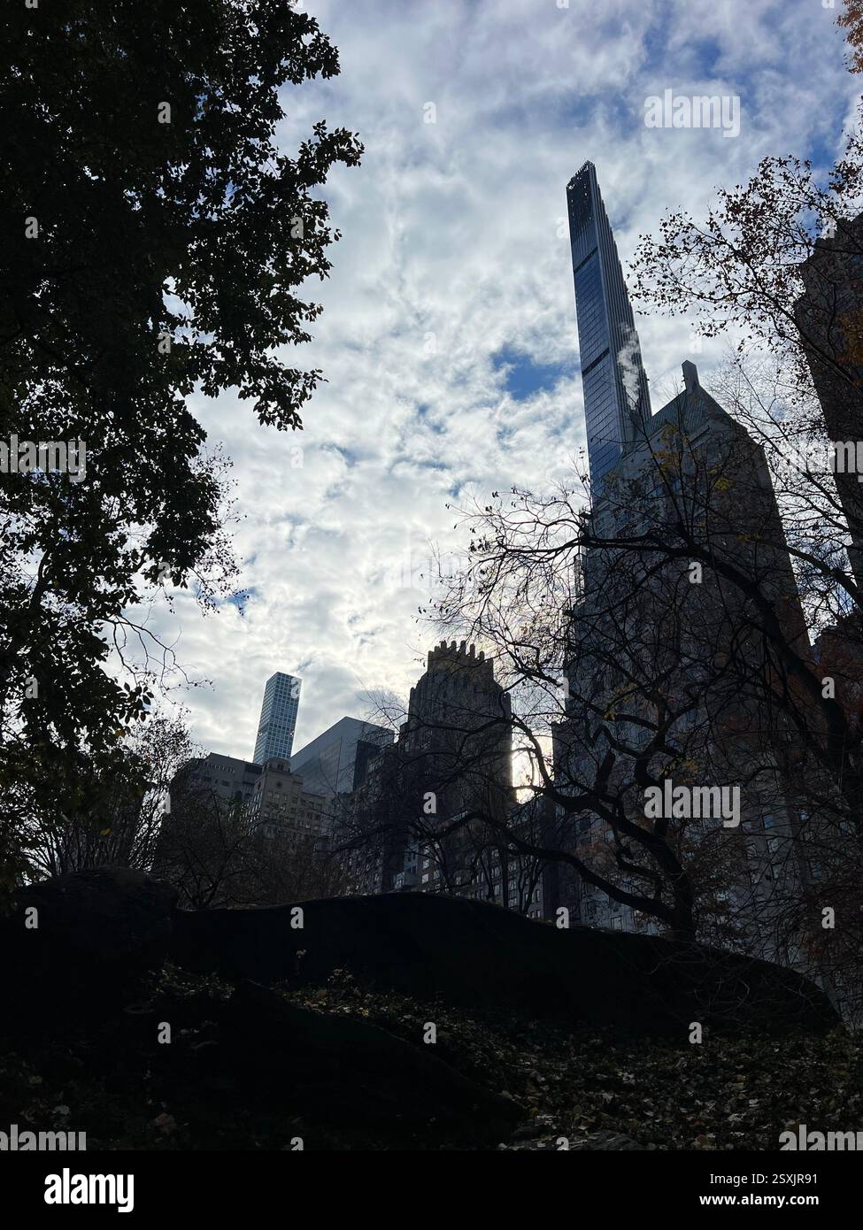 New York City view from the Central Park. Central Park in autumn. New York skyline. Autumn sky. Trees in the foreground New York City in the background - Smartphone Captured Stock Image