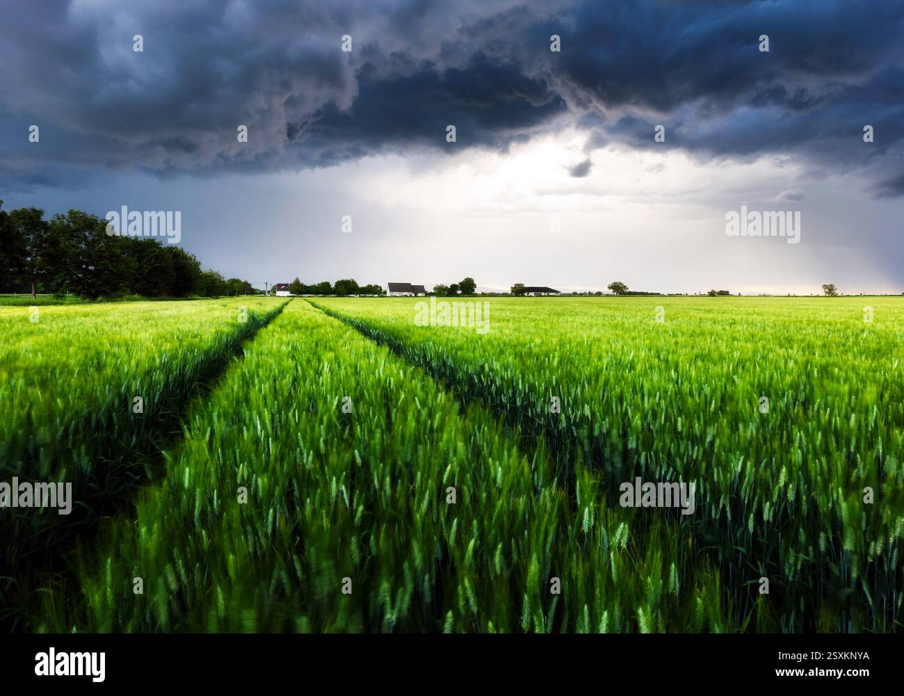 Dark rain cloud with storm over a green field with path Stock Photo