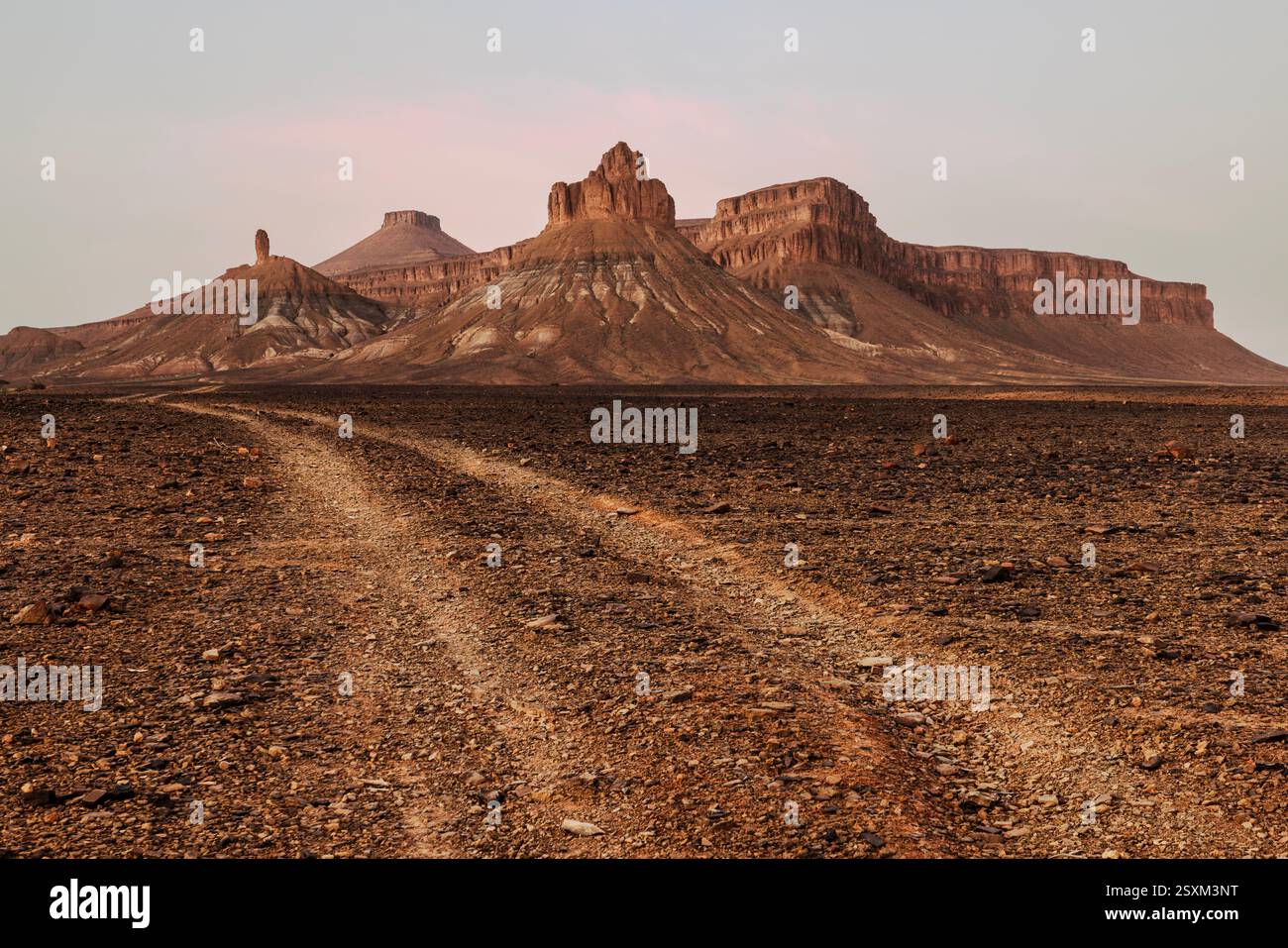 Rock formations and Oasis Laarjimia in the lriqui National Park near Foum Zguid, Morocco. Stock Photo