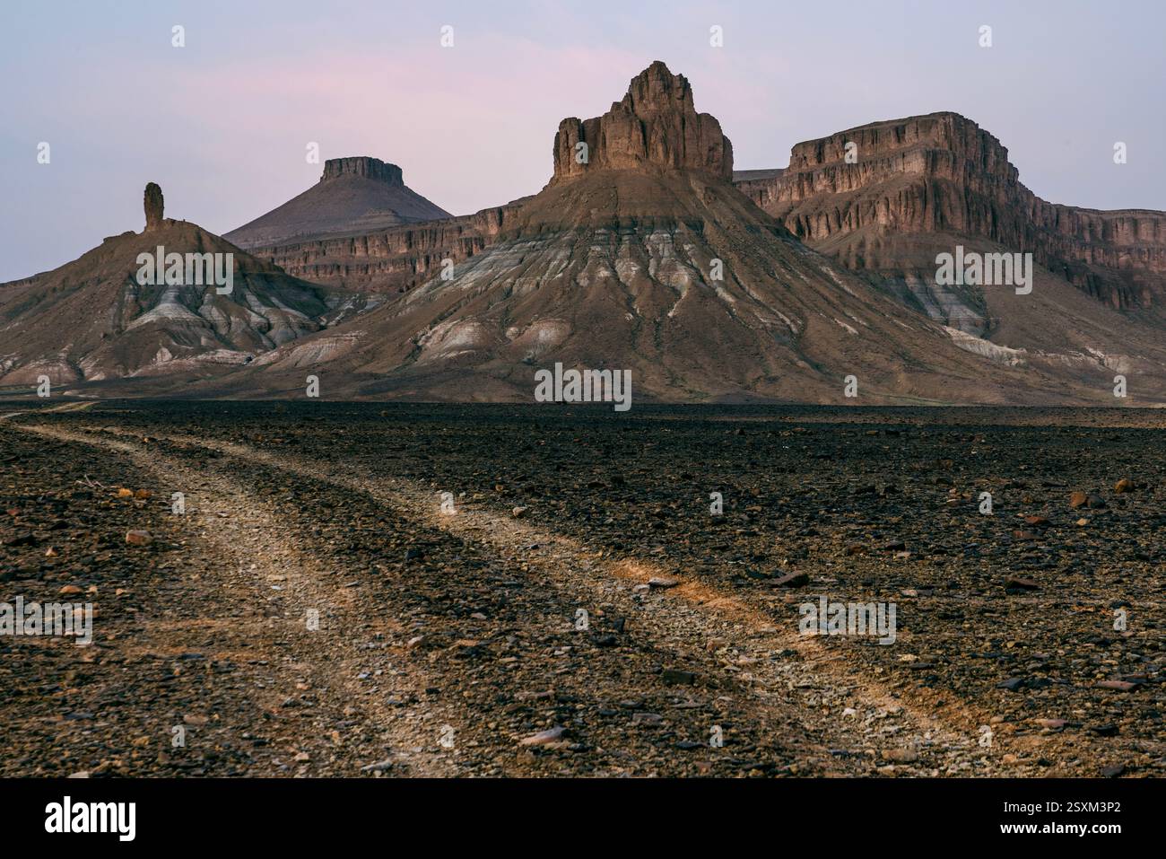 Rock formations and Oasis Laarjimia in the lriqui National Park near Foum Zguid, Morocco. Stock Photo