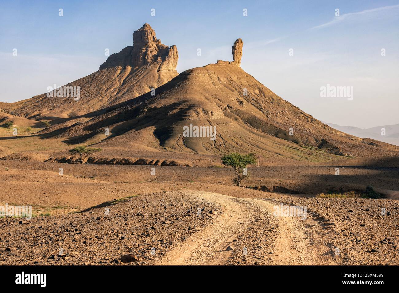 Rock formations and Oasis Laarjimia in the lriqui National Park near Foum Zguid, Morocco. Stock Photo