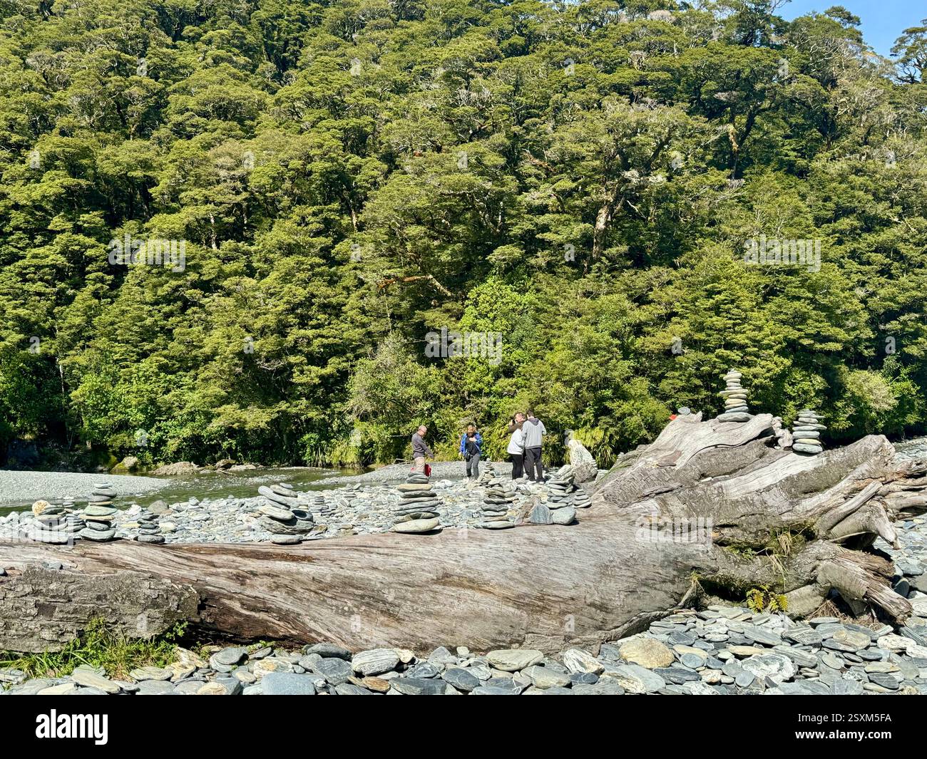 Rock stacking on a fallen tree in the Haast River near Fantail Falls in Mount Aspiring National Park New Zealand - Smartphone Captured Stock Image