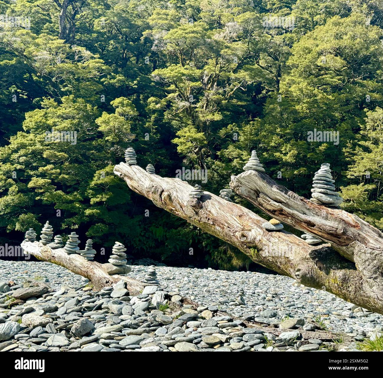 Rock stacking on a fallen tree in the Haast River near Fantail Falls in Mount Aspiring National Park New Zealand - Smartphone Captured Stock Image