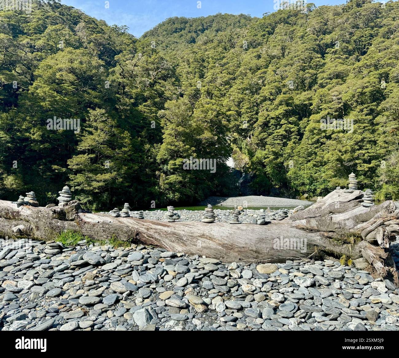 Rock stacking on a fallen tree in the Haast River near Fantail Falls in Mount Aspiring National Park New Zealand - Smartphone Captured Stock Image