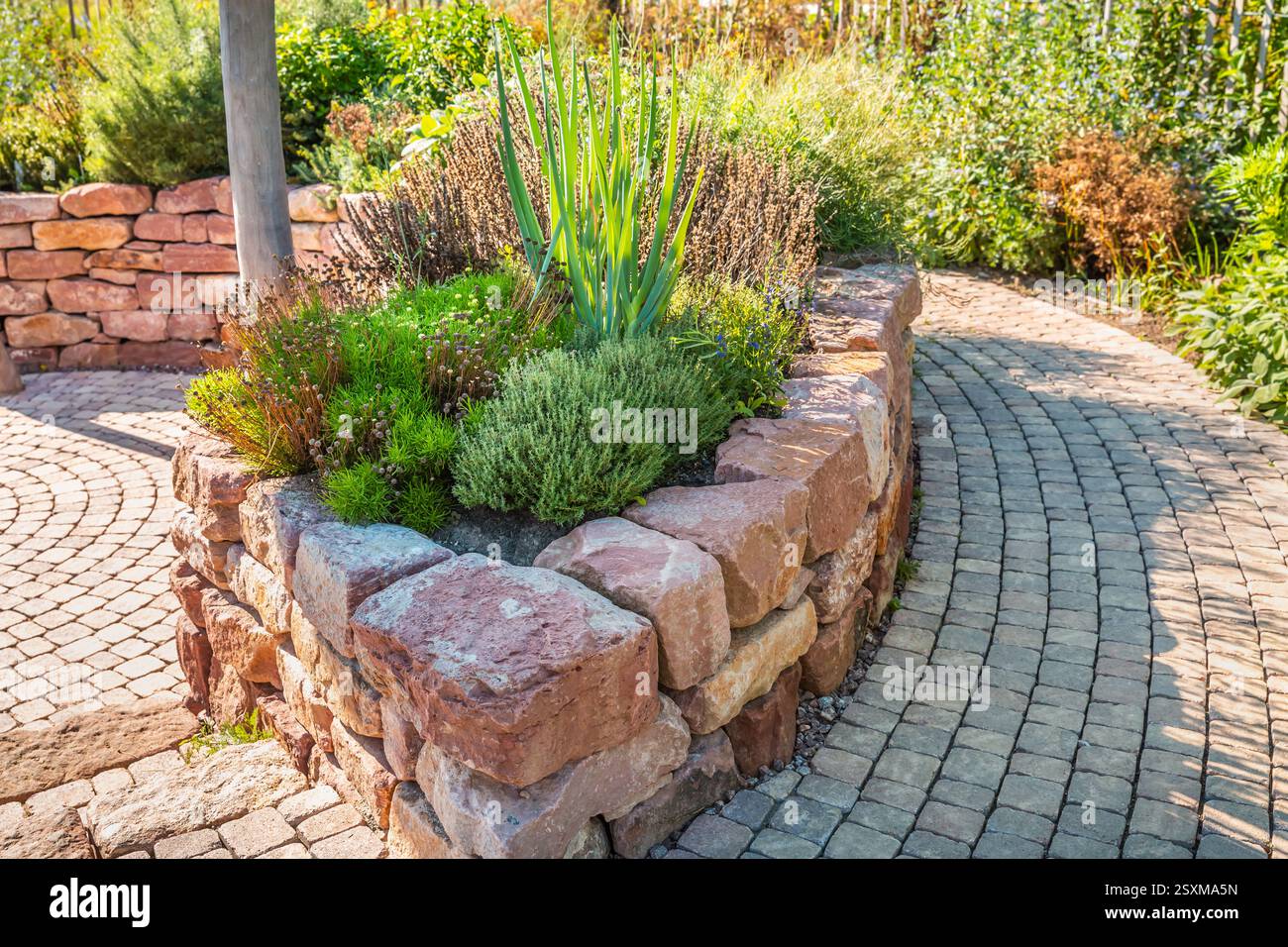 A modern vegetable garden with raised bricks beds. Raised beds gardening in urban garden growing plants and vegetables Stock Photo