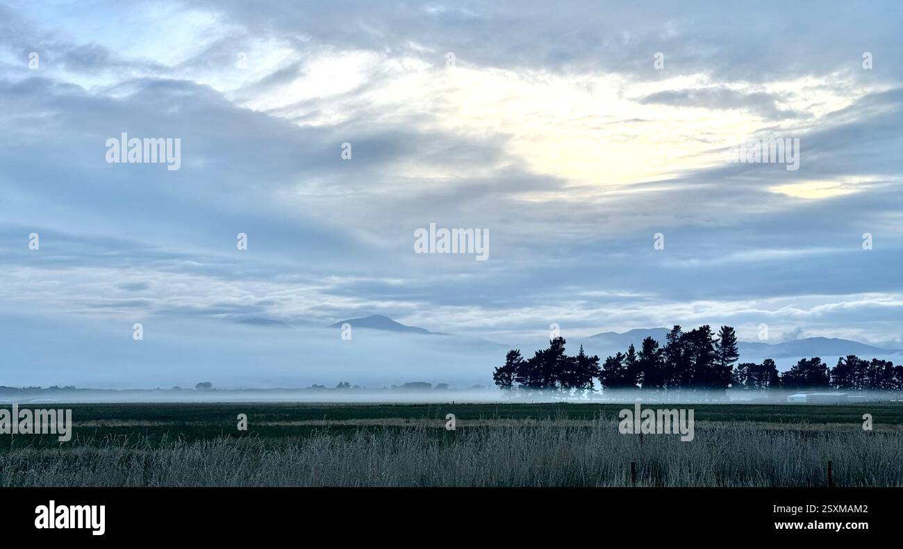 Fog over agricultural land in rural South Island New Zealand - Smartphone Captured Stock Image