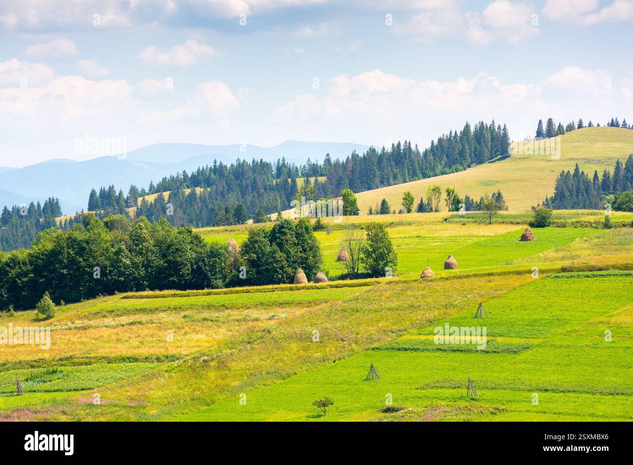 mountainous rural landscape on a sunny day. countryside scenery with lush trees, grassy fields, haystack and arable on the slope of a hill. fluffy clo Stock Photo