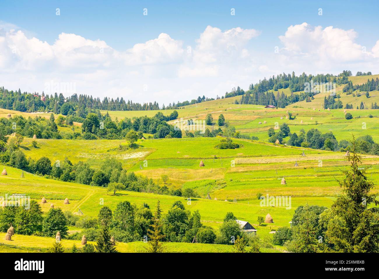 mountainous rural landscape on a sunny day. picturesque highland. countryside scenery with lush trees, grassy fields, haystack and arable on the slope Stock Photo