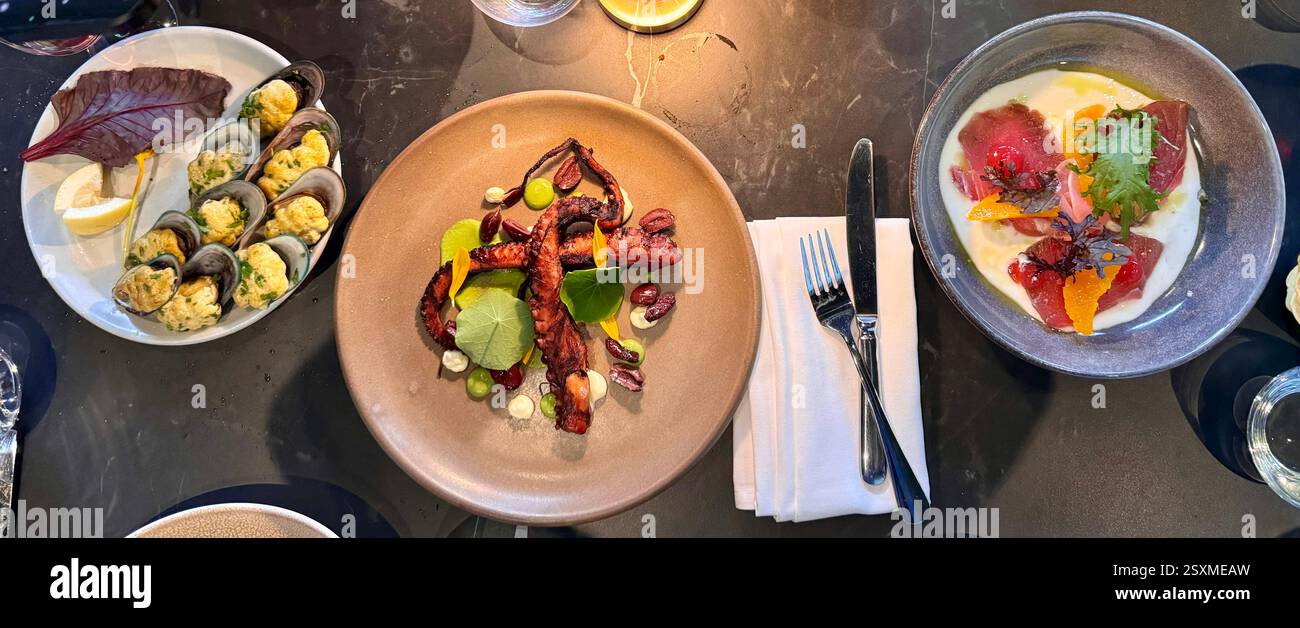 Three dishes, New Zealand Mussels, octopus tentacles and raw tuna. - Smartphone Captured Stock Image