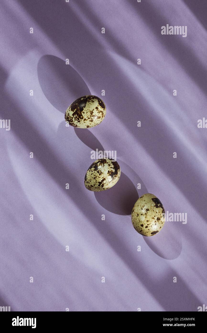 Three quail eggs on pastel purple background, top view, Easter Stock Photo