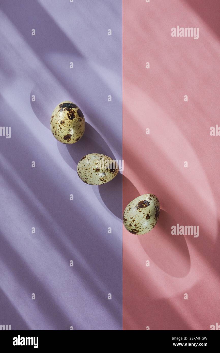 Three quail eggs on pastel background, top view, Easter Stock Photo