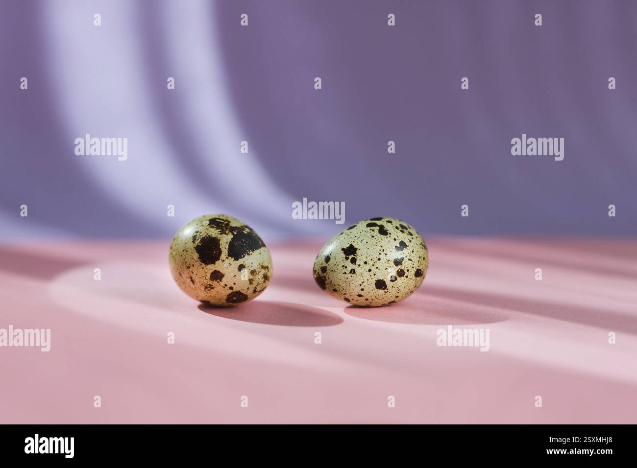 Two quail eggs on pastel background, Easter Stock Photo
