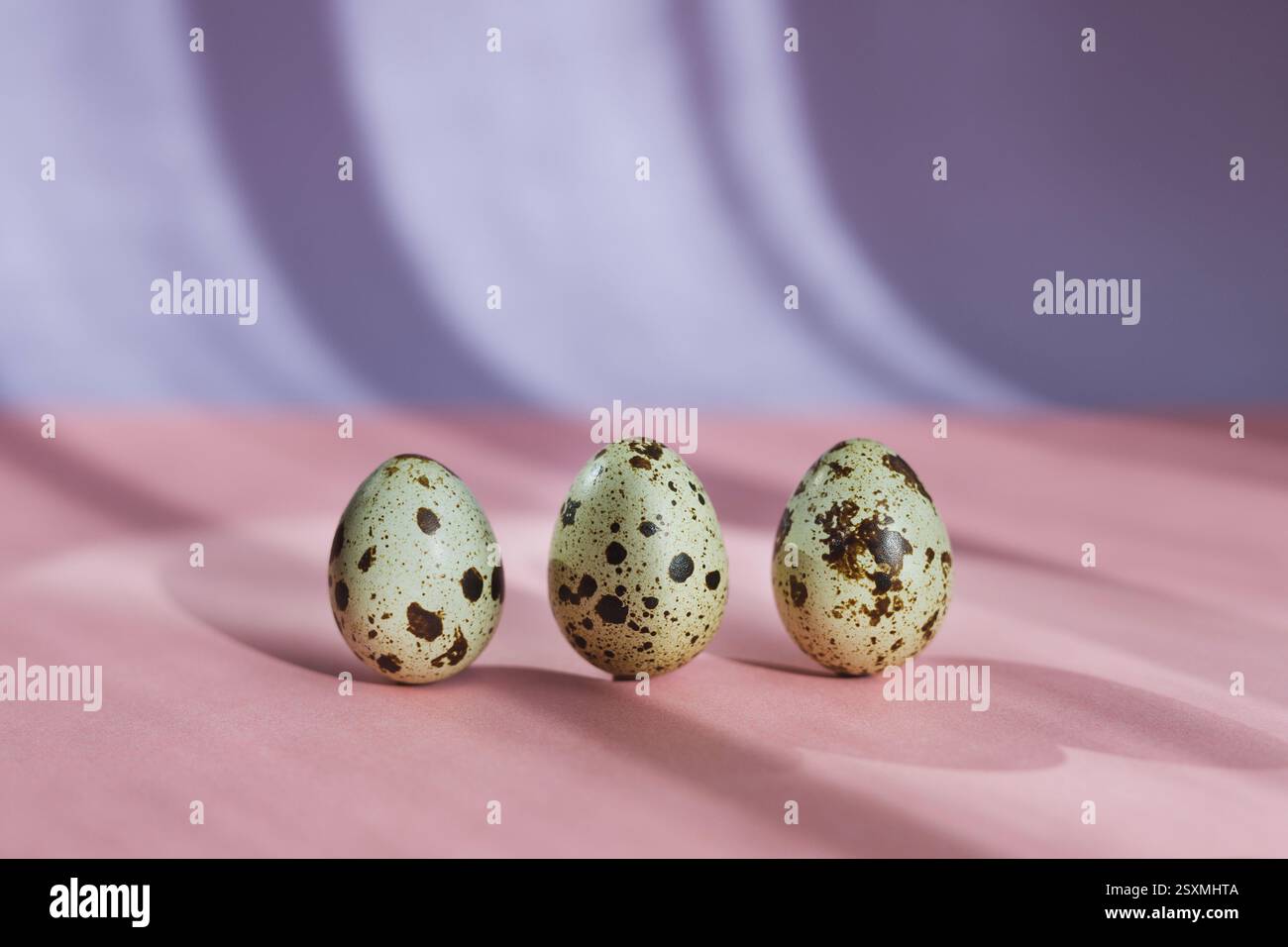 Three quail eggs on pastel background, Easter Stock Photo